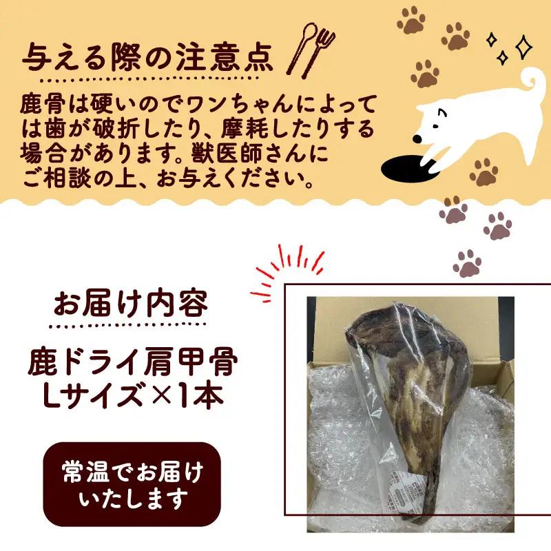 鹿ドライ肩甲骨Lサイズ（23㎝以上） 【ペットフード】 