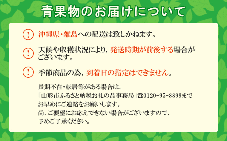 山形市産 シャインマスカット 秀 2kg(2～6房)[前半] 【令和6年