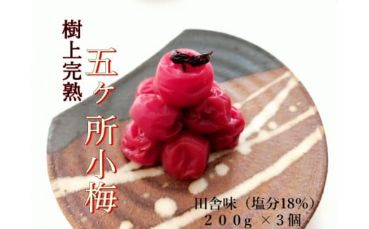 梅干し 手作り 計600g （200g×3個） 小分け しそ 梅干 うめぼし うめ うめ干し 小梅 梅 ume 無添加 樹上 完熟 とろける 塩分 18% しそ ごはんのお供 ご飯 ごはん お米 米 ※ 茶漬け お茶漬け しょっぱい すっぱい 小梅 国産 ないぜしぜん村 五ヶ所 伊勢志摩 三重県 南伊勢町 9000円 9千円 10000円以下 1万円以下