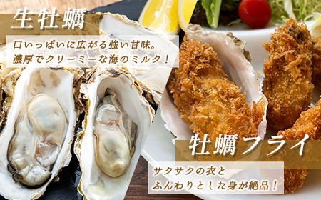 仙鳳趾名産 牡蠣 150～199g×13個+かきナイフ付K4-3_仙鳳趾 センポウシ せんぽうし 牡蠣 カキ 生食用 殻付き 牡蠣 絶品 産地直送 北海道 釧路町 釧路超 特産品 _【配送不可地域：離