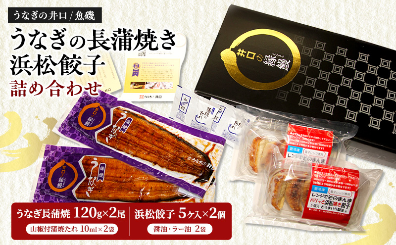 国産うなぎ長蒲焼120g×2尾＆調理済み浜松餃子5ケ入×2パック詰め合わせ【配送不可：離島】 国産 うなぎ 鰻 ウナギ長蒲焼 真空パック 焼き餃子 ぎょうざ 浜松餃子 詰め合わせ 冷凍 浜松市 静岡【2025年8月15日以降順次発送】