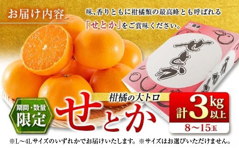 数量限定 柑橘の大トロ せとか 計3kg以上 先行予約 フルーツ 果物 くだもの 柑橘 みかん オレンジ 期間限定 2025 希少 フルーツサンド フルーツ大福 国産 食品 おすすめ デザート おやつ