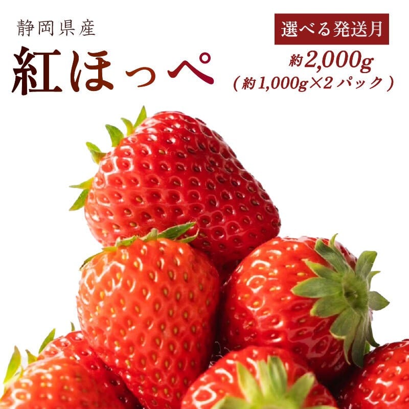 
            【発送月が選べる】 紅ほっぺ 2000g以上 いちご 1000g×2パック イチゴ 冷蔵発送 苺 2kg 土耕栽培 フルーツ 果物 スイーツ デザート朝摘み ストロベリー おやつ 完熟 直送 ギフト 家庭用 贈答用 贈答 ギフト 贈り物 甘い ブランド ジャム アレンジ フルーツサンド 農家直送 ベリー 産地直送 国産 おすすめ 森木農園 静岡県 牧之原市 ~土耕栽培だから濃くて甘い!~ 
          
