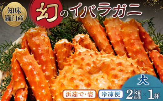 
                  知床イバラがに 姿(大) いばらがに かに カニ 蟹  羅臼町 北海道産 海産物 生産者 支援 応援
                