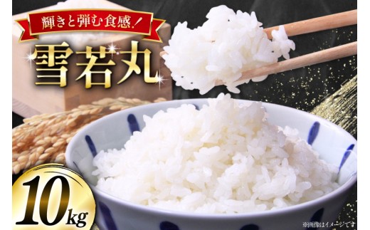 米 令和7年産  雪若丸 10kg(5kg×2) [本田勇仁 山形県 高畠町 tk06bgj910001] お米 白米 精米 ごはん ご飯 ブランド米 