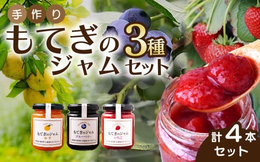 茂木産果実100％使用！ イチゴ＆ブルーベリー＆ゆずジャム 160g×4本  保存料・着色料・香料不使用 | いちご イチゴ 苺 ブルーベリー ゆず 柚子 果実 フルーツ 手作り 果肉 朝食 トースト パン ヨーグルト 詰め合わせ 保存料 着色料 不使用 おいしい 美味しい 茂木産 もてぎプラザ 栃木県 茂木町