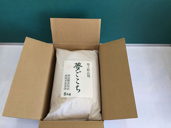 【新米】【7年産】近江米夢ごこち【5kg×2袋】【T035W1】