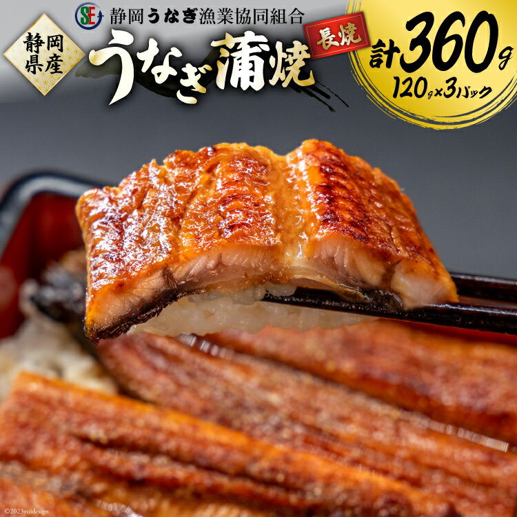 【ふるさと納税】 うなぎ 国産 静岡 蒲焼 長焼 120g 3パック 計360g [静岡うなぎ漁業協同組合 静岡県 吉田町 22424569] 静岡県産 鰻 ウナギ ungai 蒲焼き うなぎ蒲焼き 鰻蒲焼 真空パック 冷凍 丑の日 丑の日配送