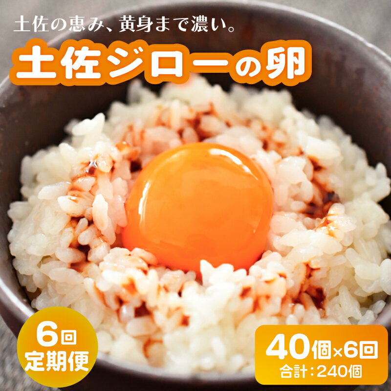 【ふるさと納税】 6回定期便土佐ジローの卵 40個入り 産地直送 国産 たまごのおくだ 卵 タマゴ 鶏卵 たまごかけごはん TKG オムレツ 卵かけご飯 たまご焼き おいしい おすすめ 高知県 南国市