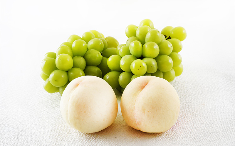 桃 ぶどう 2025年 先行予約 果物詰合せ 白桃 2玉 (1玉200g以上)  シャイン マスカット 晴王 2房 (合計約940g) 化粧箱入り 岡山県産 国産 フルーツ 果物 ギフト 