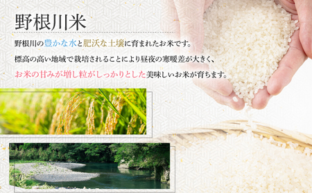 令和7年産 野根川米 5kg 米 国産 コメ【NO001】
