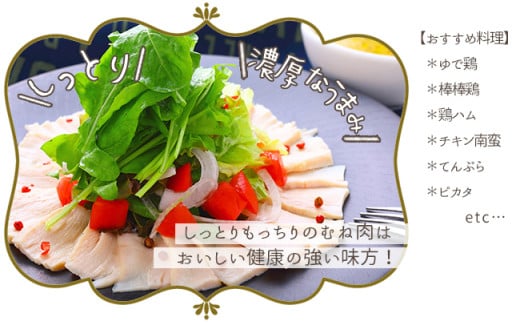 【大川村と芸西村の共通返礼品】はちきん地鶏 むね肉 1kg＆土佐鴨 鴨鍋肉（2～3人前）セット 地鶏 ムネ肉 胸肉 鶏肉 鴨 鴨肉 かも肉 とり肉 とりにく 肉 高知県 大川村 F6R-013