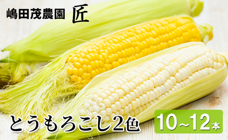 とうもろこし2色 嶋田茂農園匠 北海道産 とうもろこし【10〜12本】