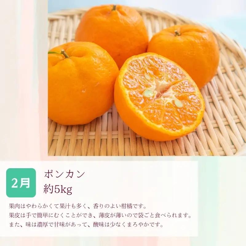 定期便【全3回/2・3・4月】和歌山の春の柑橘 （ポンカン・はるか・ブラッドオレンジ）秀品【tkb452】