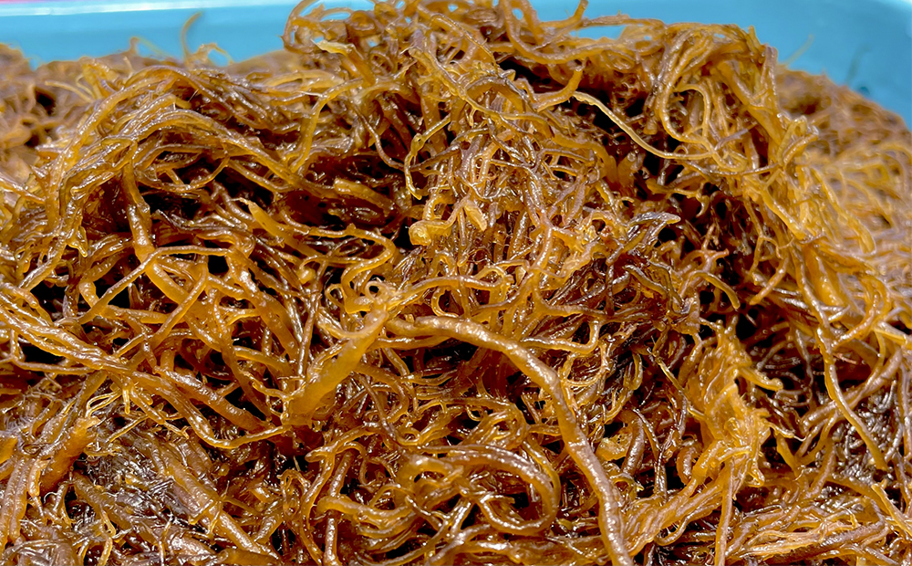 久米島海洋深層水使用！久米島もずくうどん 6人前ギフトセット×2セット モズク 饂飩 麺 お中元 お歳暮 お取り寄せ お土産 特産品 つるつる もちもち のどごし お子さま 老若男女 ミネラル 食物繊