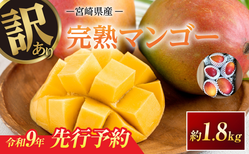 訳あり 宮崎県産 完熟マンゴー 約1.8kg 令和9年発送分 2027年 フルーツ 果物 くだもの 宮崎マンゴー 希少 濃厚 ワケアリ ご褒美 お祝い 国産 食品 おやつ デザート とろける食感 おす