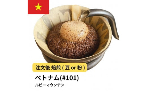 コーヒー #101 ルビーマウンテン （ベトナム アラビカ） 310g 当日焙煎 大山珈琲 （豆または中挽きから選択）