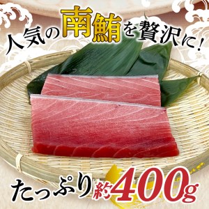 訳あり 天然 南鮪 中トロ 約400g 訳あり OR FN-SupportProject OR 増量 OR 年末企画 訳あり (a10-859)