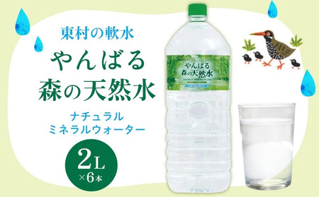 定期便3回   東村の軟水【やんばる 森の天然水】　2L×6本