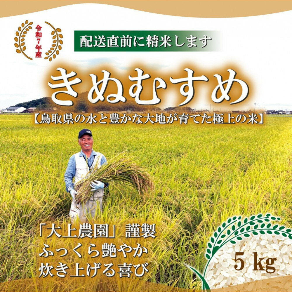 【ふるさと納税】令和7年 鳥取県産　きぬむすめ 5kg