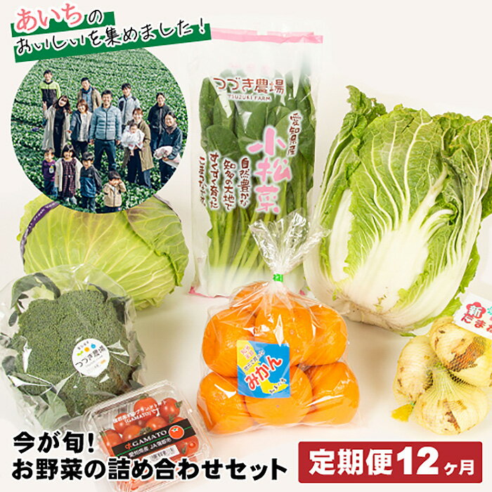 【ふるさと納税】No.217 【12ヶ月定期便】今が旬！お野菜の詰め合わせセット ／ 新鮮 季節の野菜 おまかせ たっぷり 送料無料 愛知県