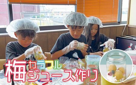 カラフル梅ジュース＆梅ジャムづくり体験チケット  A-097a