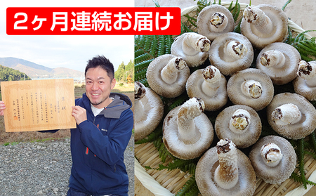 生しいたけ きのこ おーい菌床しいたけ 菌床 生しいたけ【1kg×2ヶ月】【定期便】