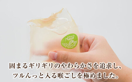 【固まるギリギリのやわらかさを追求】ぷるぷるゼリー 12個入り / ゼリー ぜりー フルーツゼリー 果実ゼリー 食べ比べ / 南島原市 / 松本製菓舗[SFV002]