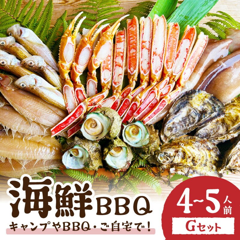 【ふるさと納税】【先行予約／2025年4月中旬〜発送】大好評！京丹後 海鮮BBQ G セット 大盛り生ズワイガニ 6種23品（ 4～5人前 魚介類 さざえ カキ かき いか イカ カレイ カニ 蟹 ズワイガニ ハタハタ バーベキュー キャンプ アウトドア 個包装 冷凍 送料無料 BBQファミリー