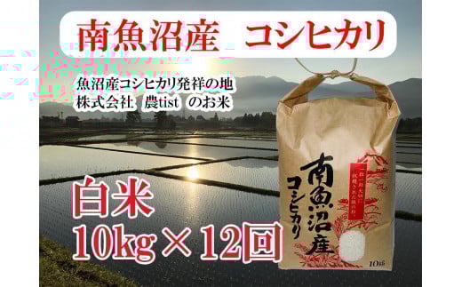 
            【令和7年産】【定期便 南魚沼産】コシヒカリ 白米10kg×12回【2025年9月中旬より順次発送予定】
          