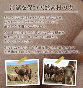 キャメル毛布 ひざ掛けサイズ [4999]