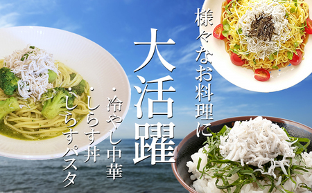 釜揚げしらす 500g [減塩シラス] 冷凍 しらす