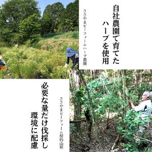 篠山精油ハーブウォーター 化粧水 芳香蒸留水 3本 各100ml | 兵庫県 丹波篠山市 BEE002