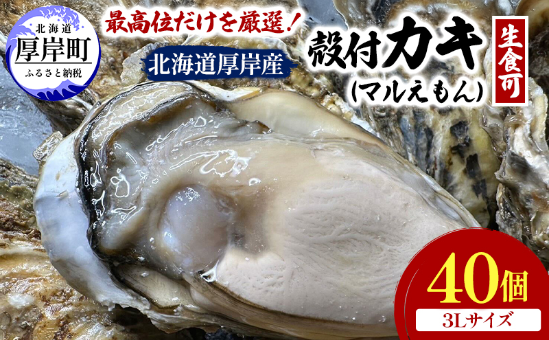 北海道 厚岸産 ブランド牡蠣 マルえもん 殻付き 牡蠣 3Lサイズ 40個 【光輝】 [ 魚貝類 生牡蠣 海鮮 海の幸 生食用牡蠣 生食用 生食用殻付き牡蠣 濃厚 甘み  オイスター ]  