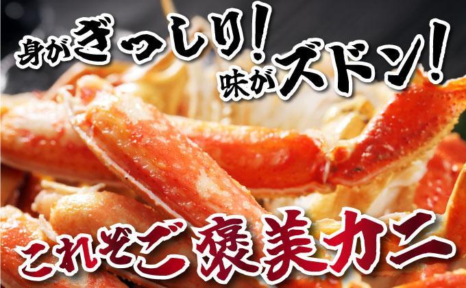 オオズワイ姿（訳あり品）2kg｜かに カニ ズワイガニ オオズワイ【ysk-008】