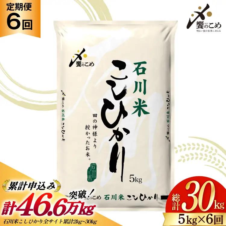 【6回 定期便】 石川米 こしひかり 5kg 精米 白米