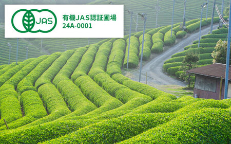 お茶 煎茶・和紅茶 4点セット [AIBV003] 