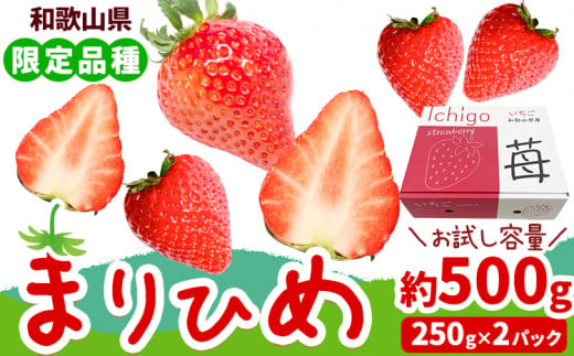 いちご まりひめ 約500g ( 250g × 2パック ) お試し パック 苺 イチゴ 紀の里農業協同組合《2月中旬-3月末頃出荷》 和歌山県 紀の川市 青果物 果物 くだもの フルーツ スイーツ