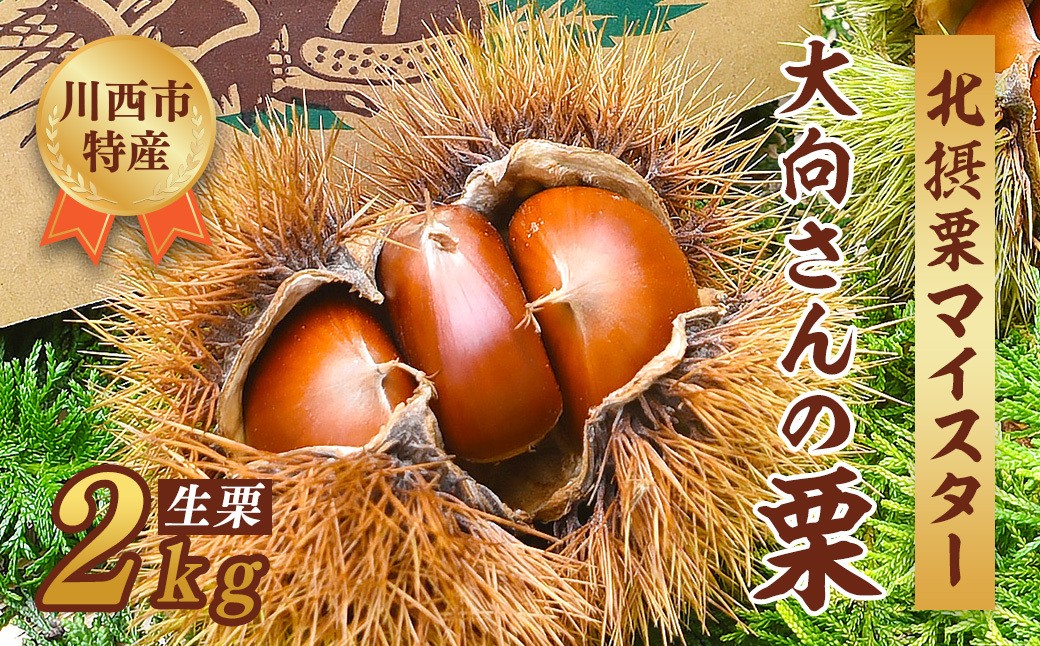 
                  《先行予約》 数量限定 北摂栗マイスターが育てた 川西特産北摂栗(銀寄など)2kg No.222 ／ くり 秋の味覚 旬 生栗 食べ物 北摂栗 栗 人気 和 ギフト プレゼント お取り寄せ グルメ  マロン 和栗 焼き栗 栗ごはん 焼き栗 国産 果物 兵庫県 川西市
                