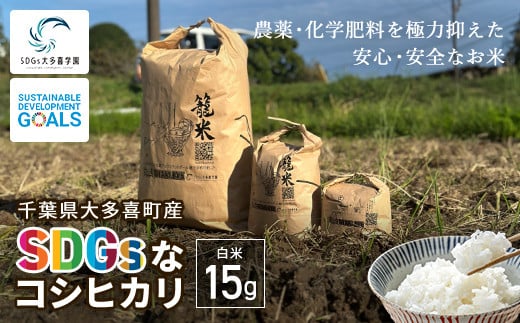 W02501 【新米】令和６年産 「SDGsなコシヒカリ」白米15kg / 米 こめ コメ 白米 精米 こしひかり コシヒカリ 籠米 バスケットボール esDGs OTAKI.EXE SDGs 大多喜町 千葉県