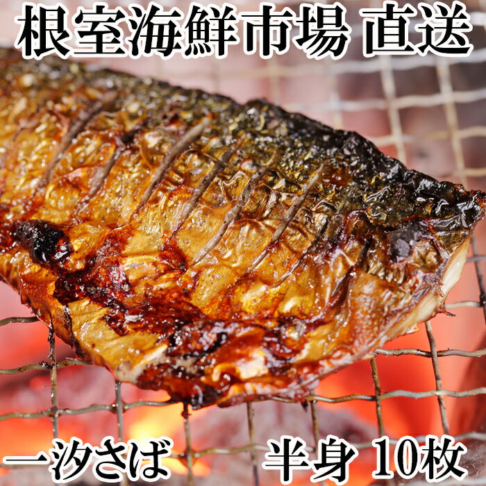 【ふるさと納税】【12月10日決済確定分まで年内配送】 無添加天然サバフィーレ 10 枚 さば 鯖 魚 さかな サカナ お取り寄せ グルメ 海鮮 一汐さば 半身 焼き魚 おかず 北海道 根室市 ふるさと納税 G-14022