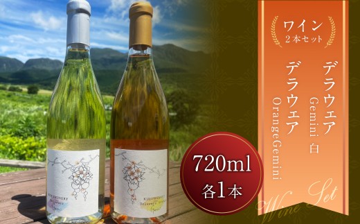 デラウェア Gemini （ 白 ） ＆ デラウェア OrangeGemini セット （ 各720ml × 1本 ）