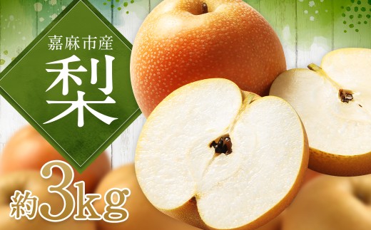 梨 3kg ナシ なし 果物 くだもの フルーツ 九州産 福岡県 嘉麻市 【2026年8月上旬～2027年1月下旬発送予定】