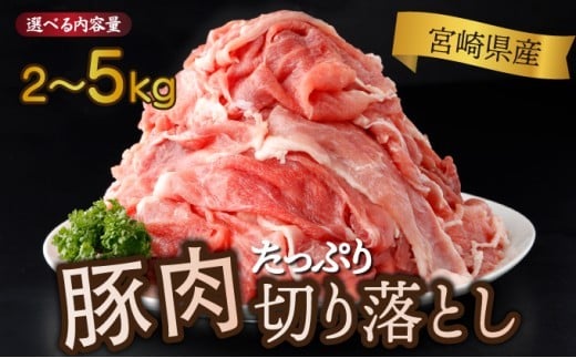 
            【数量・発送時期が選べる】宮崎県産 豚肉切り落とし 250g 合計2kg~5kg 
          