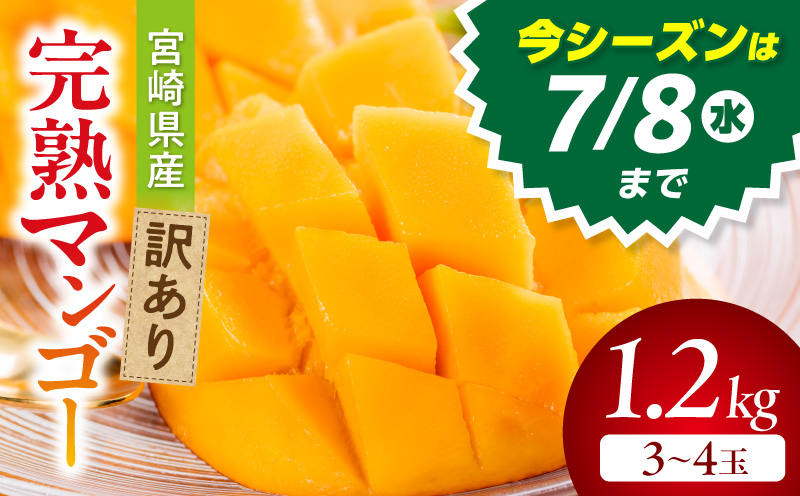 《2026年発送》【数量・期間限定】宮崎県産訳あり完熟マンゴー1.2kg(3～4玉) マンゴー 完熟 芳醇 冷蔵 フルーツ 果物 数量限定 期間限定 宮崎県産