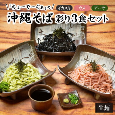 【ふるさと納税】【太生麺の冷やしそば】ちょーでーぐぁ 彩り生麺 イカスミ・ウメ・アーサ 3食セット【配送不可地域：離島】【1523275】