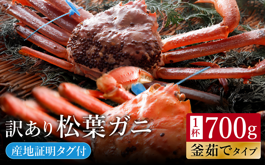 ＜予約受付中！＞【訳あり】タグつき 釜茹で松葉ガニ700g前後【11月より順次発送】