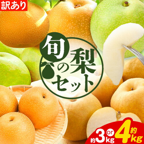 訳あり 鳥取県産 旬の梨セット 選べる内容量 約3kg (3～10玉) 約4kg (4～13玉) 《2025年8月下旬-2026年3月中旬頃より発送予定》
