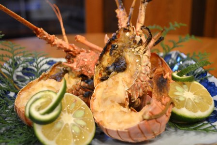 【冷凍】 天然 伊勢海老 1.5kg（2～5尾） 黒潮町 ［1084］