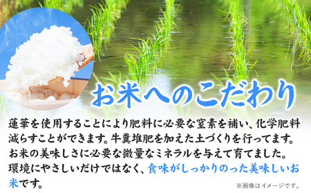 【6ヶ月定期便】令和7年産 特別栽培米 獅子米（品種：夢つくし） 精米 4kg(2kg×2袋) 白米 精米 株式会社コモリファーム《お申込み月の翌月から出荷開始》合計24kgお届け